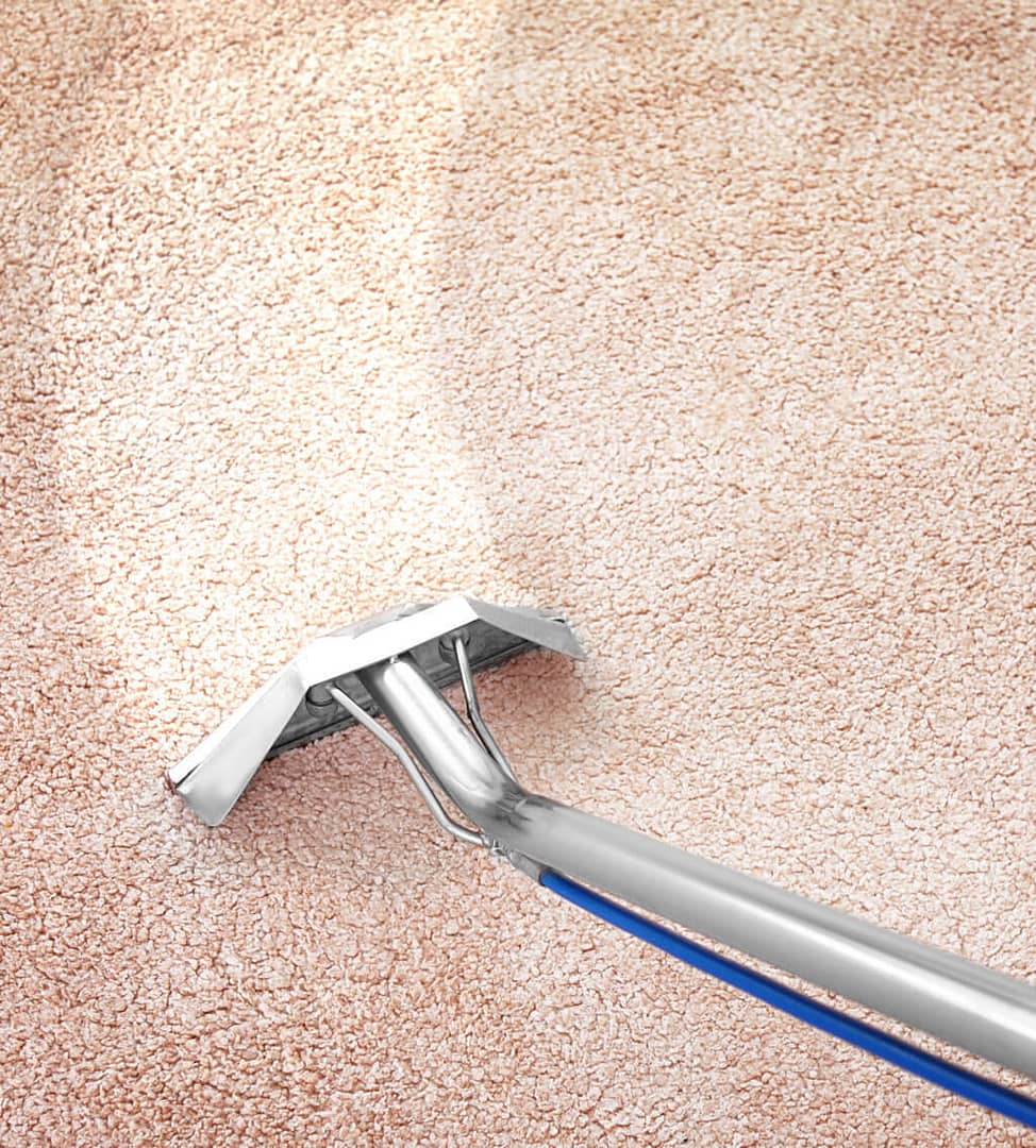 Vloerkleed reinigen All Carpet Cleaning
